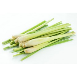Lemongrass - grounded 30g