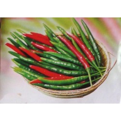 Bird Eye Chilli extra...